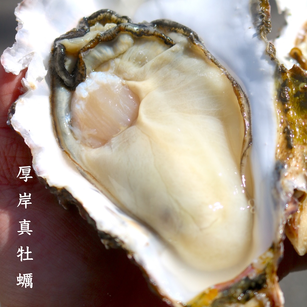 大将の料理・仕入れの様子 7